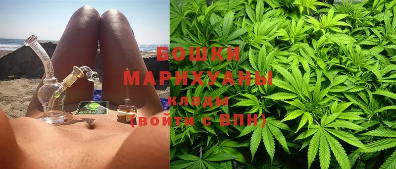 закладки  Махачкала  Каннабис индика 